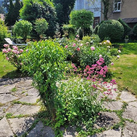 Les Colibris - Standing Et Jardin - 3 Etoiles Apartment Cluses Exterior photo